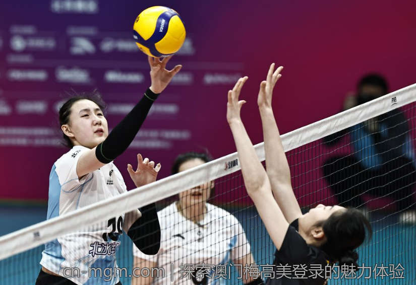 探索澳门梅高美登录的魅力体验