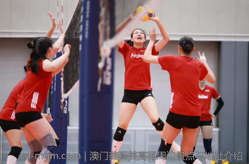 澳门美狮美高梅周边景点与地址介绍