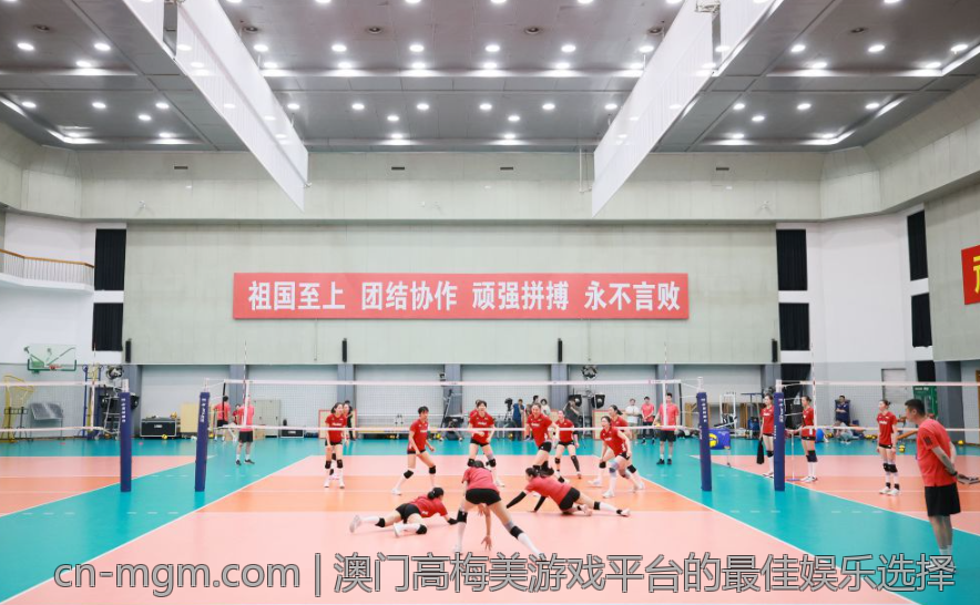 澳门高梅美游戏平台的最佳娱乐选择