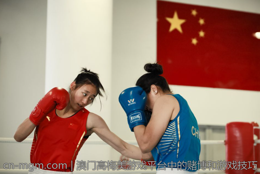 澳门高梅美游戏平台中的赌博和游戏技巧