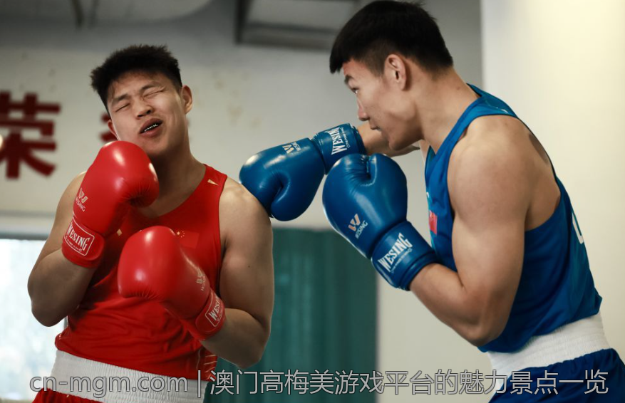 澳门高梅美游戏平台的魅力景点一览